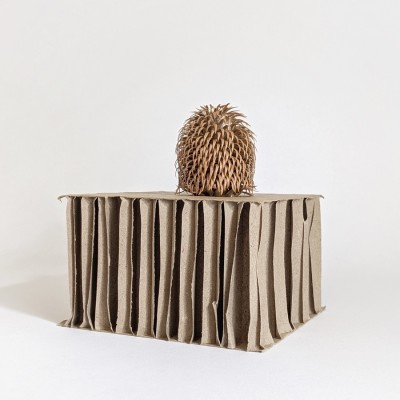 View works from 2025 